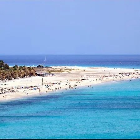 Apartment Piso San Miguel *